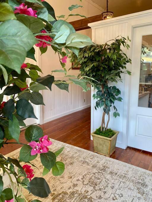 The Shopkeeper'S Cottage ~ Chic! Amador City Экстерьер фото